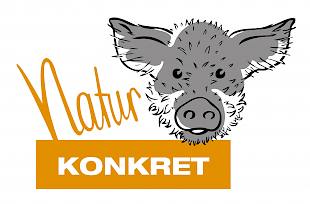 Natur-Konkret, Wollschwein | 2013 | digital